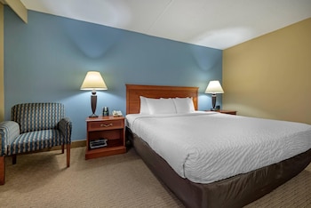Room, 1 King Bed, Accessible, Non Smoking