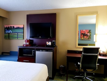 Standard Room, 1 King Bed with Sofa bed, Non Smoking