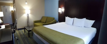 Standard Room, 1 King Bed with Sofa bed, Non Smoking