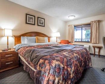 Standard Room, 1 King Bed, Non Smoking