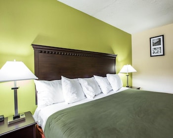 Standard Room, 1 King Bed, Non Smoking