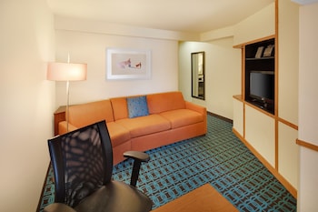 Suite, 1 King Bed with Sofa bed