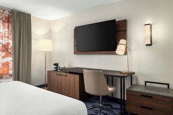 Suite, 1 King Bed with Sofa bed