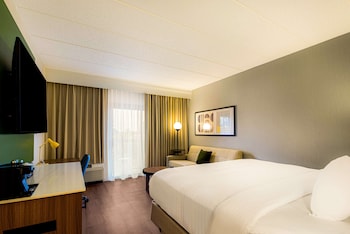 Deluxe Room, 1 King Bed with Sofa bed, Accessible (Mobility/Hearing Roll in Shower)