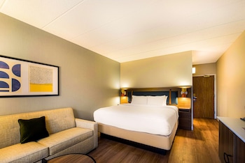 Deluxe Room, 1 King Bed with Sofa bed, Accessible (Mobility/Hearing Roll in Shower)