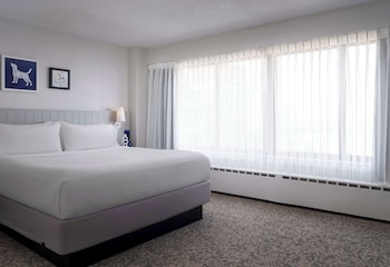 Suite, Multiple Beds (Two Bedroom)