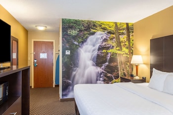 Room, 1 King Bed, Non Smoking (Pet Friendly)