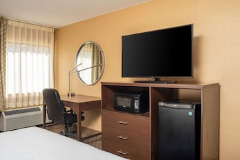 Room, 1 King Bed, Non Smoking (Pet Friendly)
