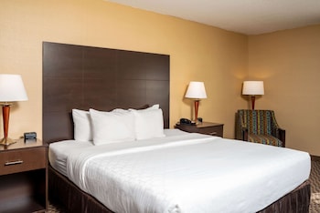 Room, 1 King Bed, Non Smoking (Pet Friendly)