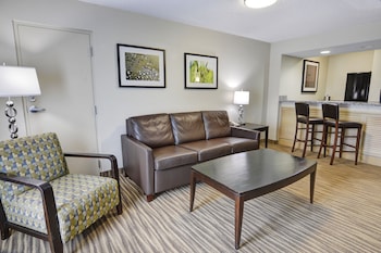 Suite, 1 King Bed