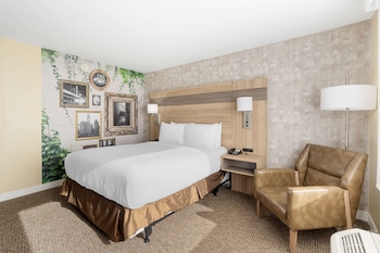 Standard Room, 1 Queen Bed, Accessible, Non Smoking