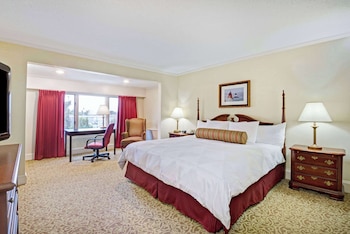 Room, 1 King Bed, Non Smoking