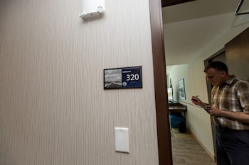 Room, 1 King Bed with Sofa bed, Accessible, Bathtub