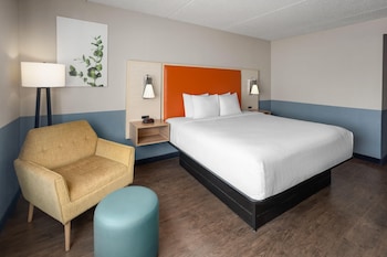 Room, 1 King Bed, Mobility Accessible, Non Smoking (Bathtub W/grab Bars)