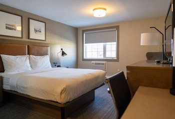Standard Room, 1 Queen Bed, Non Smoking, Refrigerator & Microwave (with Sofabed)