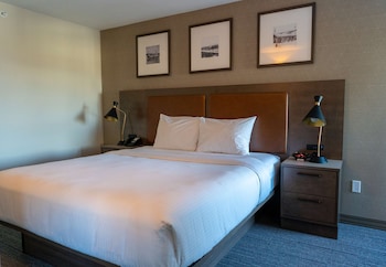 Standard Room, 1 Queen Bed, Non Smoking, Refrigerator & Microwave (with Sofabed)