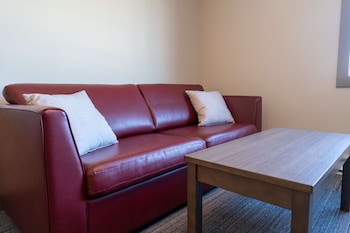 Standard Room, 1 King Bed, Non Smoking, Kitchenette (with Sofabed)