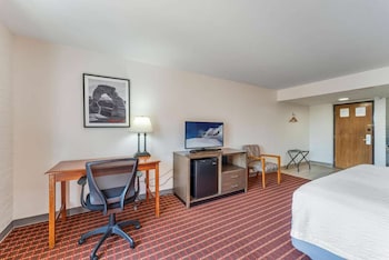 Room, 1 King Bed, Non Smoking
