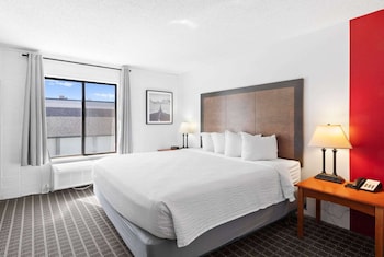 Suite, 1 King Bed, Non Smoking