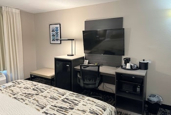 Room, 1 King Bed, Accessible, Non Smoking (Mobility Bathtub w/Grab Bars)
