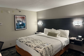 Room, 1 King Bed, Accessible, Non Smoking (Mobility Bathtub w/Grab Bars)