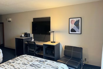 Room, 1 King Bed, Non Smoking