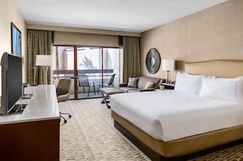 Room, 1 King Bed with Sofa bed
