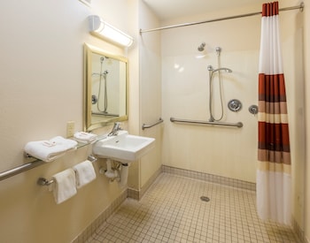 Standard Room, 1 King Bed, Accessible, Non Smoking (Roll-In Shower)