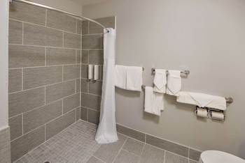 Room, 1 King Bed, Accessible, Non Smoking (Roll-in Shower)