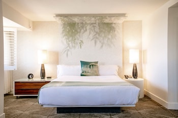 Studio, 1 King Bed