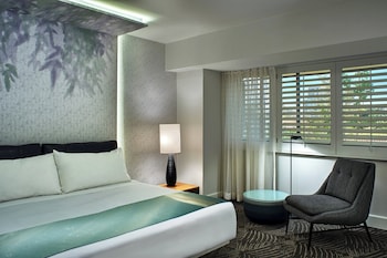 Studio, 1 King Bed