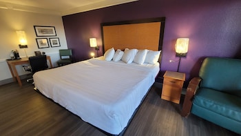 Deluxe 1 King Bed