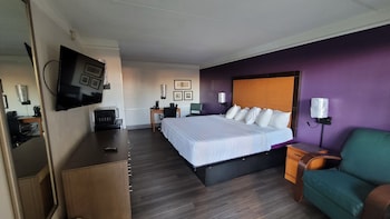 Deluxe 1 King Bed
