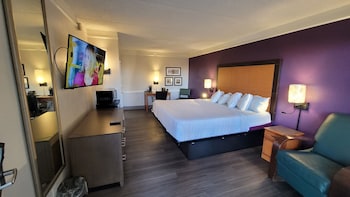 Deluxe 1 King Bed