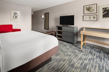 Room, 1 King Bed, Mobility Accessible, Non Smoking (Bathtub w/ Grab Bars)