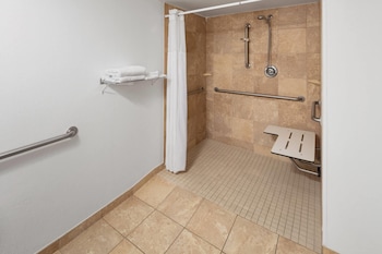 Room, 1 King Bed, Mobility Accessible, Non Smoking (Roll-in Shower)