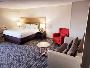 Studio Suite, 1 King Bed, Non Smoking
