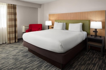 Room, 1 King Bed, Non Smoking
