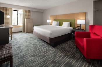 Room, 1 King Bed, Mobility Accessible, Non Smoking (Bathtub w/ Grab Bars)