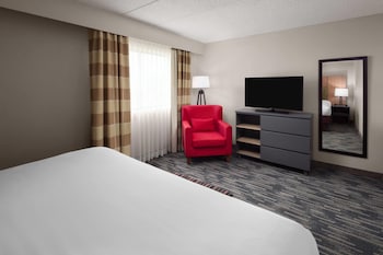 Suite, 1 King Bed with Sofa bed, Non Smoking