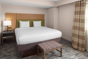 Suite, 1 King Bed with Sofa bed, Non Smoking