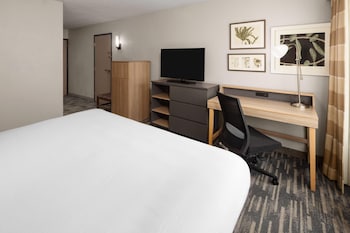 Room, 1 King Bed, Mobility Accessible, Non Smoking (Roll-in Shower)