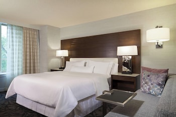 Room, 1 King Bed