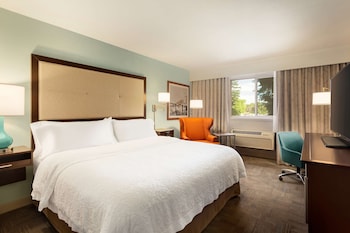 Standard One King Bed Non-Smoking