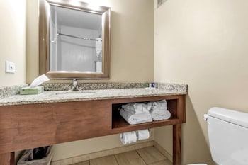 Standard Room, 1 King Bed, Accessible (Roll In Shower)