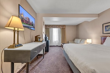Standard Room, 1 King Bed with Sofa bed