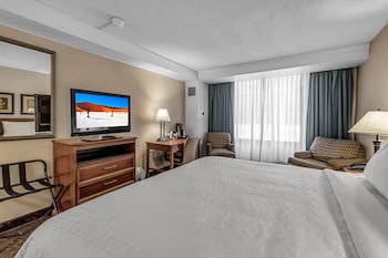 Standard Room, 1 King Bed, Accessible (Roll In Shower)