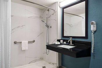 Room, 1 King Bed, Accessible, Non Smoking (Mobility/Hearing, Roll-In Shower)