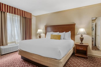 Executive Apartment, 1 King Bed, Non Smoking, Kitchen (Living Room, Full Kitchen)