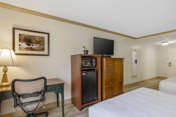 Standard Room, 2 Double Beds, Accessible, Refrigerator & Microwave